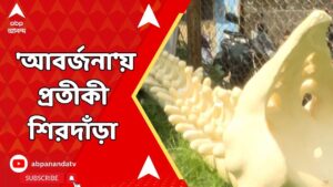 Durga Puja Theme: পুজো মণ্ডপ থেকে সরল প্রতীকী শিরদাঁড়া! সিদ্ধান্ত বদল ঘিরে উঠছে প্রশ্ন