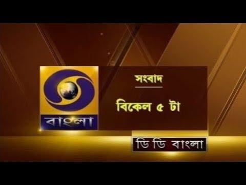 DD Bangla Live News at 5:00 PM : 01-10-2024