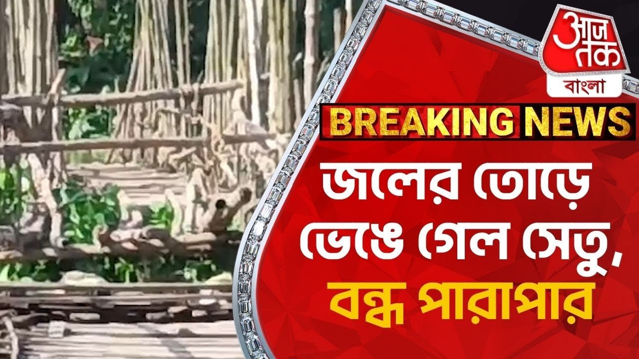 জলের তোড়ে ভেঙে গেল সেতু, বন্ধ পারাপার | Nadia | Bridge | Flood | Aaj Tak Bangla