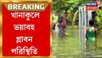 গরু পাচার মামলায় জামিন, পুজোর আগেই বীরভূমে ফিরছেন অনুব্রত?