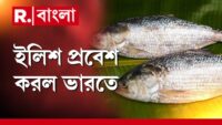 আরজি কর কাণ্ডে কী করছিলেন সেমিনার রুমে? অবস্থান স্পষ্ট করলেন চিকিৎসক সুশান্ত রায়