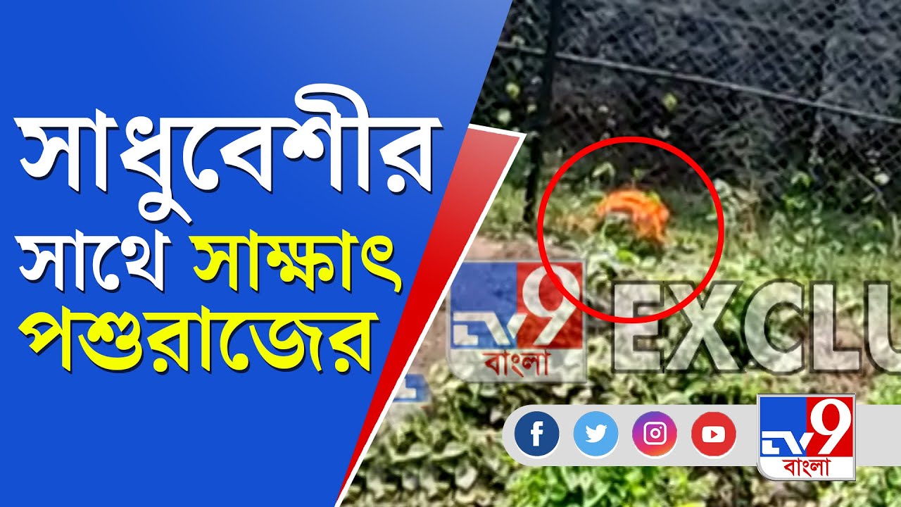 সিংহের মুখোমুখি সাধুর বেশে থাকা এক যুবক | TV9 Bangla