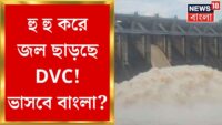 বিশ্বকর্মা পুজোর দিনে ১০ জেলায় সস্তা হল পেট্রোল ডিজেল, কলকাতায় দাম কি কমল ?