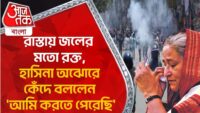 রাজ্যপালের মামলায় সিঙ্গল বেঞ্চের নির্দেশ চ্যালেঞ্জ, ডিভিশন বেঞ্চে মুখ্যমন্ত্রী