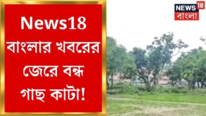 Mahishadal News : News18 বাংলার খবরের জের, বন্ধ হল গাছ কাটা | Bangla News