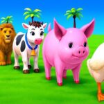 Long Slide Game With Elephant Gorilla Buffalo Hippopotamus Tiger - 3d Animal Game - Funny 3d Animals