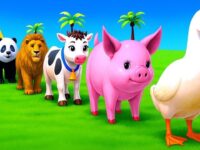 Long Slide Game With Elephant Gorilla Buffalo Hippopotamus Tiger - 3d Animal Game - Funny 3d Animals