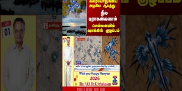 BlueDragon || Chennai || Kasimedu
