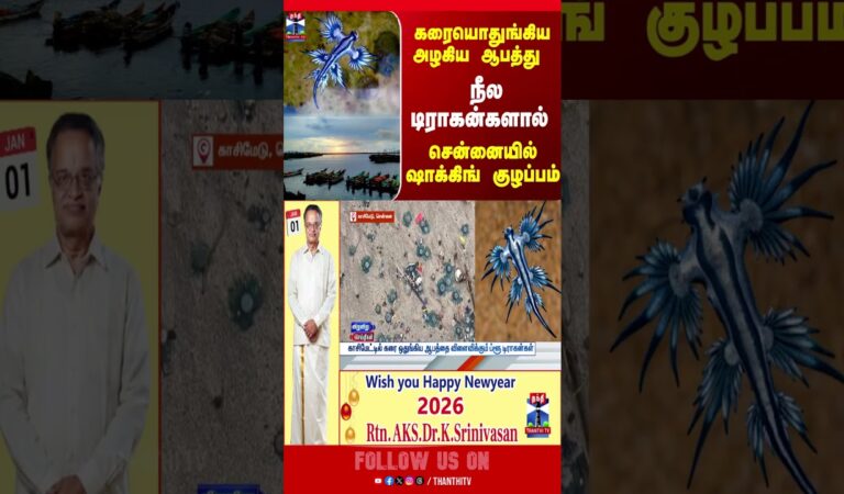 BlueDragon || Chennai || Kasimedu