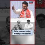 Devendra Fadnavis Vs Uddhav Raj Thackeray News | फडणवीसांच्या ढाण्यावाघ वर ठाकरेंची टीका N18S