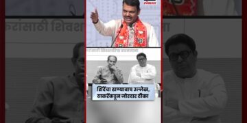 Devendra Fadnavis Vs Uddhav Raj Thackeray News | फडणवीसांच्या ढाण्यावाघ वर ठाकरेंची टीका N18S