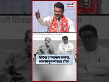 Devendra Fadnavis Vs Uddhav Raj Thackeray News | फडणवीसांच्या ढाण्यावाघ वर ठाकरेंची टीका N18S