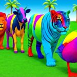Long Slide Game With Elephant Gorilla Buffalo Hippopotamus Tiger - 3d Animal Game - Funny 3d Animals