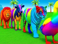 Long Slide Game With Elephant Gorilla Buffalo Hippopotamus Tiger - 3d Animal Game - Funny 3d Animals