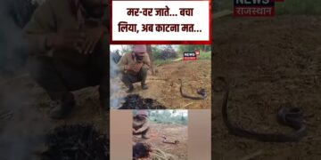 MP Man Snake Viral Video : सांप से बातें करते युवक का Video Viral! | N18S | Top News | Viral Video