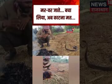 MP Man Snake Viral Video : सांप से बातें करते युवक का Video Viral! | N18S | Top News | Viral Video