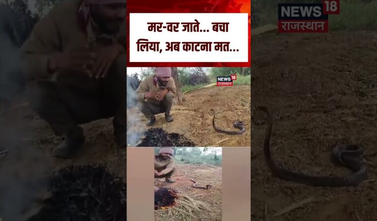 MP Man Snake Viral Video : सांप से बातें करते युवक का Video Viral! | N18S | Top News | Viral Video