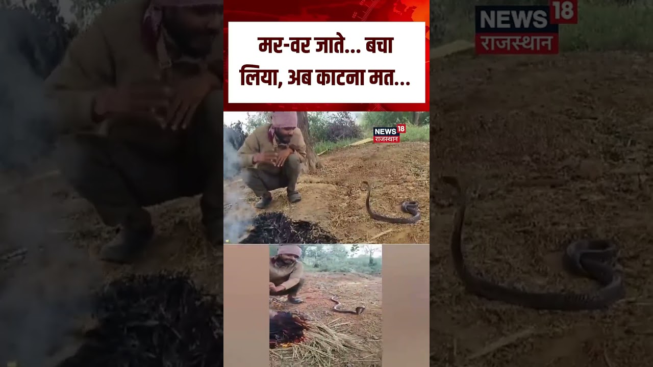 MP Man Snake Viral Video : सांप से बातें करते युवक का Video Viral! | N18S | Top News | Viral Video