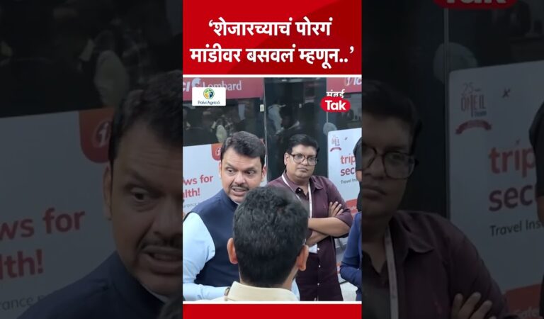 देवेंद्र फडणवीस यांचा मराठी माणसाच्या मुद्यावरुन ठाकरेंना कोणता टोला? | BMC Elections | BJP | BDD