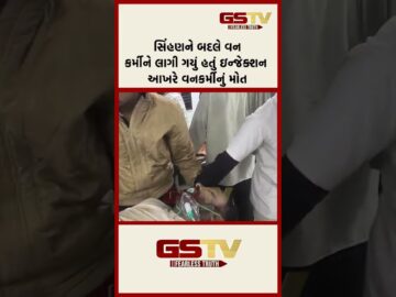 સિંહણને બદલે વનકર્મીને લાગી ગયું હતું ઇન્જેક્શન આખરે વનકર્મીનું મોત