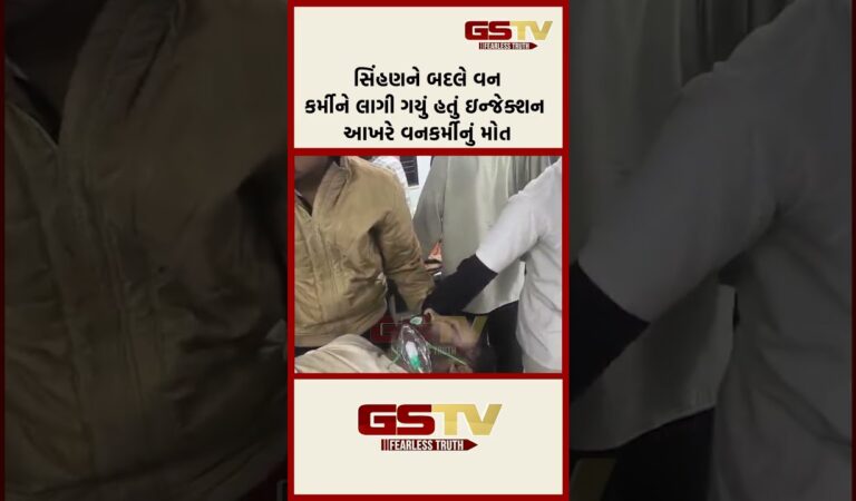 સિંહણને બદલે વનકર્મીને લાગી ગયું હતું ઇન્જેક્શન આખરે વનકર્મીનું મોત