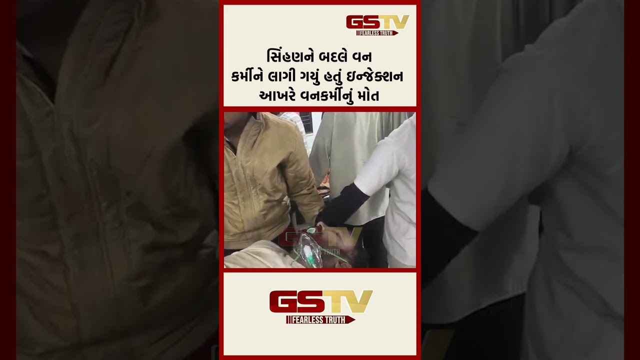 સિંહણને બદલે વનકર્મીને લાગી ગયું હતું ઇન્જેક્શન આખરે વનકર્મીનું મોત