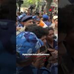 Cockroaches Offer Flowers To Police