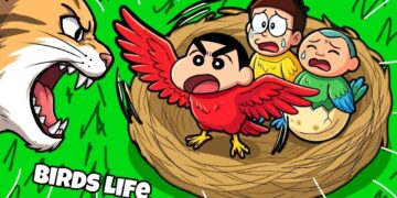 Shinchan Bird life Age 1 To Age 100 Evolution