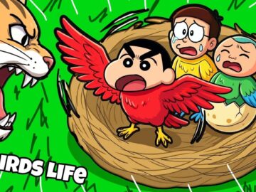 Shinchan Bird life Age 1 To Age 100 Evolution