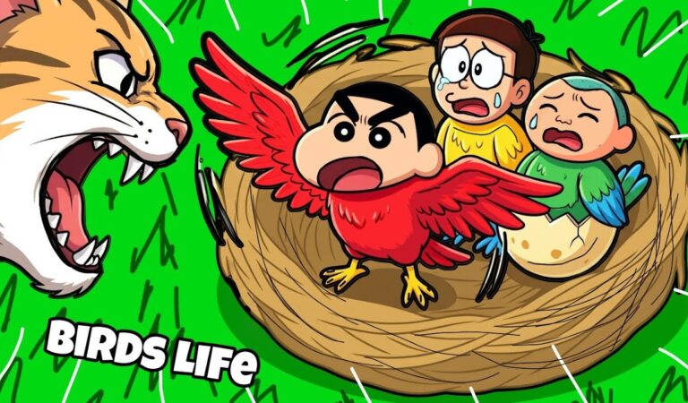 Shinchan Bird life Age 1 To Age 100 Evolution