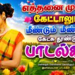 🌟எத்தனை முறை கேட்டாலும் மீண்டும் மீண்டும் கேட்க தூண்டும் பாடல்கள் ||💯Tamil Sad Songs Collection🎧✨