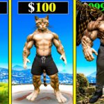 $১ এর CAT থেকে $১,০০০,০০০ STRONGEST CAT এ আপগ্রেড ! GTA 5