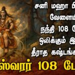 சனி மகாபிரதோஷம் அன்று நந்தி 108 போற்றி ஒலிக்கும் இடத்தில் தீராத கஷ்டங்கள் தீரும் | Apoorva Videos